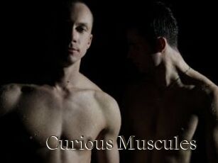 Curious_Muscules