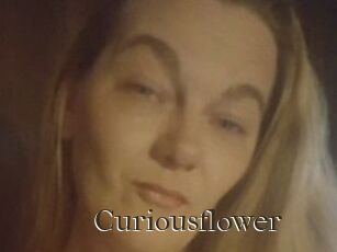 Curiousflower