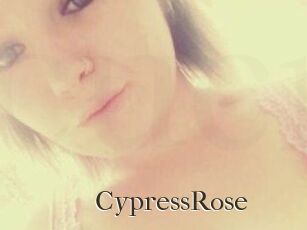 Cypress_Rose