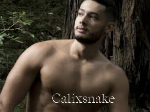 Calixsnake