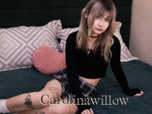 Carolinawillow