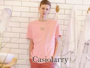 Casiolarry