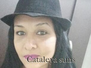 Cataleya_suns