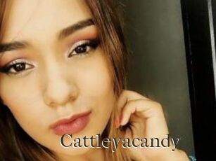 Cattleyacandy