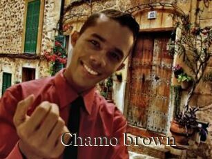 Chamo_brown