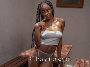 Chaynascot