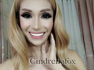 Cindrellafox