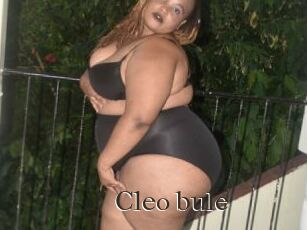 Cleo_bule