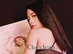 Cloeclean