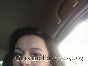 Coccinella-07105003