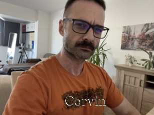 Corvin