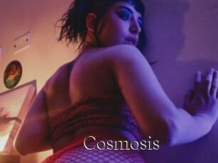 Cosmosis