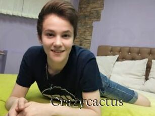 Crazycactus