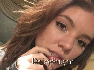 Daisy_Sugar