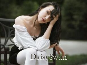 DaisySwan