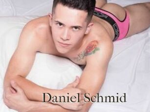 Daniel_Schmid