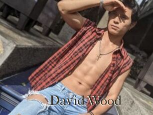 David_Wood