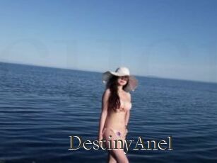 DestinyAnel