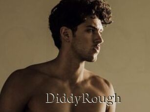 DiddyRough