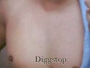 Diggstop