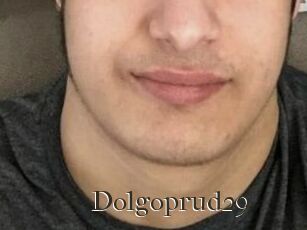 Dolgoprud29