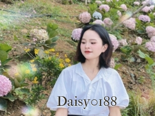 Daisy0188