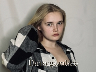 Daisygambee