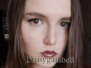 Daisygambell