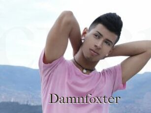 Damnfoxter