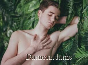 Damonadams