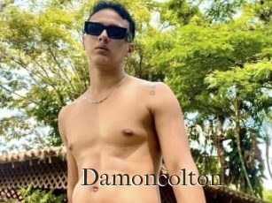 Damoncolton