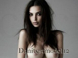 Danitestmodel12