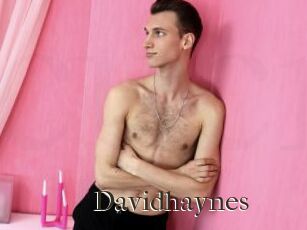 Davidhaynes