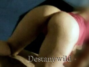 Destanywild