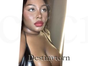 Destinytorn