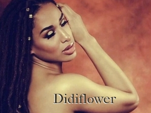 Didiflower