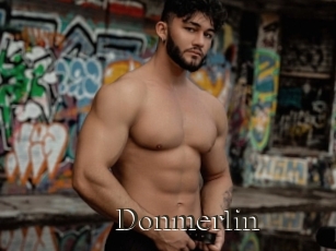 Donmerlin