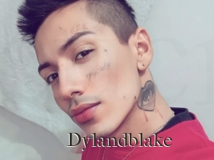 Dylandblake