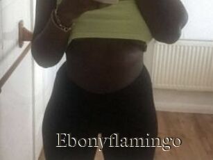 Ebony_flamingo