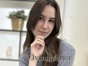 Elvinagomer