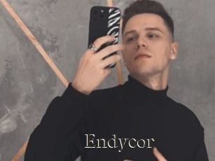 Endycor