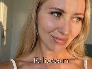 Felicecam