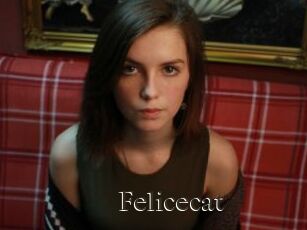 Felicecat