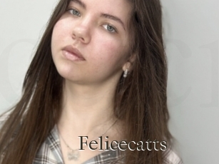 Felicecatts