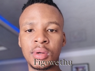 Figowethu