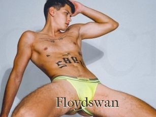 Floydswan