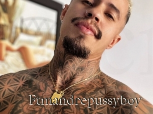 Ftmandrepussyboy