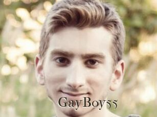GayBoy55
