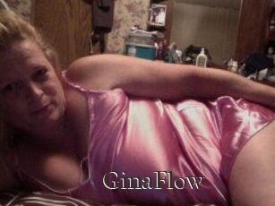 Gina_Flow