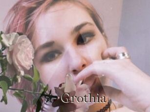 Grothia